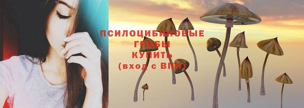 jwh Медвежьегорск