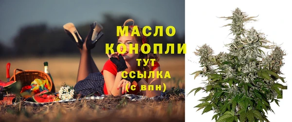 гидра Медногорск