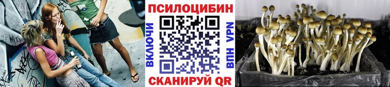 Псилоцибиновые грибы прущие грибы  Оренбург 